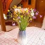 Waldstadl Oder Andrea's Woidhaisl 度假居 阿尔恩布鲁克