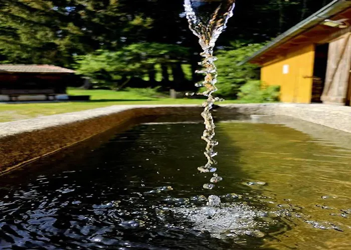 Waldstadl Oder Andrea's Woidhaisl Arnbruck