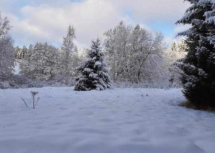 Waldstadl Oder Andrea's Woidhaisl *