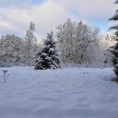 Waldstadl, Andrea's Woidhaisl * Arnbruck