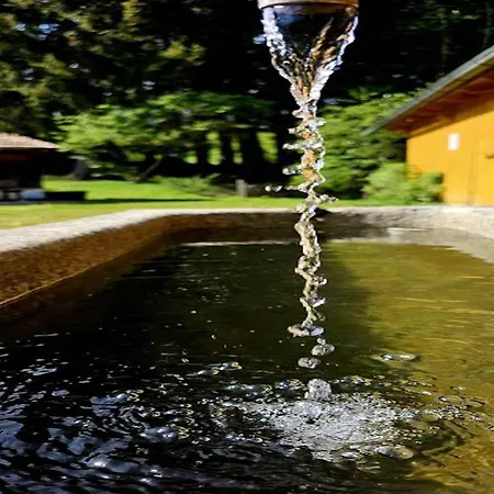 Waldstadl Oder Andrea's Woidhaisl Arnbruck