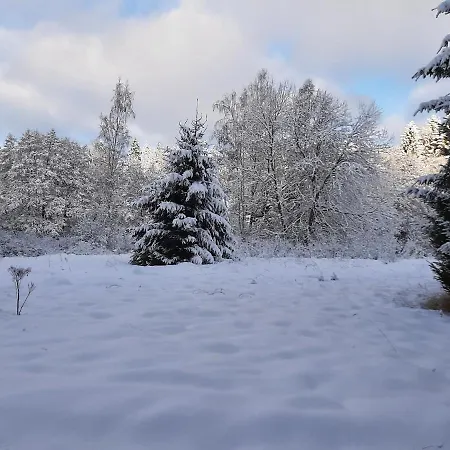 Waldstadl Oder Andrea's Woidhaisl *